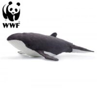 Pukkelhval - WWF (Verdensnaturfonden)