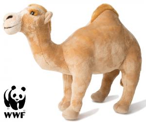 Dromedar - WWF (Verdensnaturfonden)