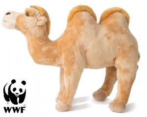 Kamel - WWF (Verdensnaturfonden)
