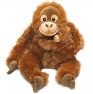 Orangutang med baby - WWF (Verdensnaturfonden)