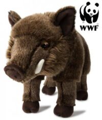 Vildsvin - WWF (Verdensnaturfonden)