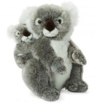 Koala med baby - WWF (Verdensnaturfonden)