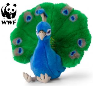 Påfugl - WWF (Verdensnaturfonden)